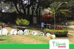 Informe de sostenibilidad 2020